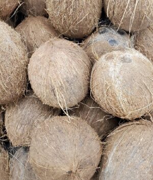 COCONUT REG