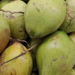 COCONUT GREEN WHOLE