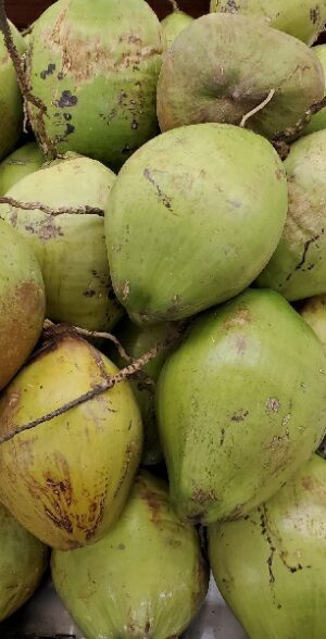 COCONUT GREEN WHOLE
