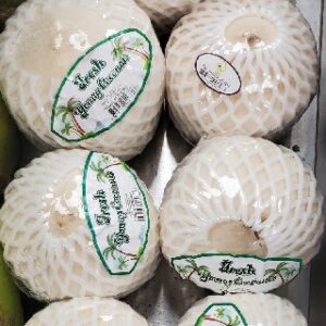 COCONUT YOUNG