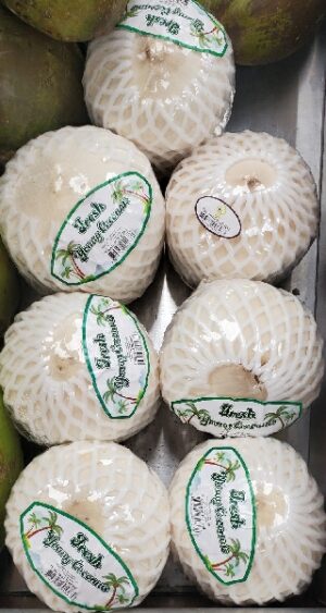 COCONUT YOUNG