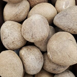COCONUT DRY WHOLE