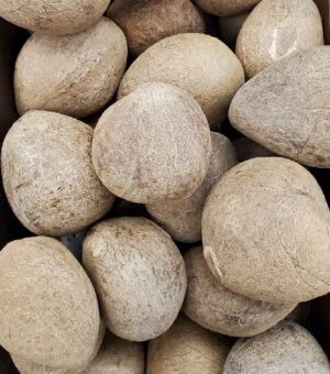 COCONUT DRY WHOLE