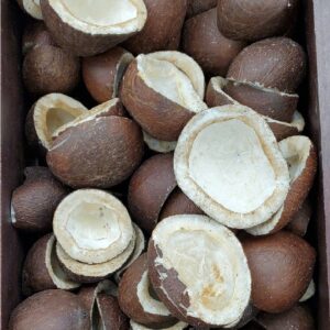 COCONUT DRY HALVES