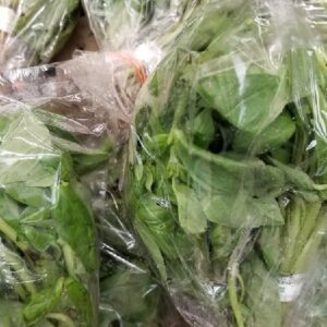 BASIL LEAVES