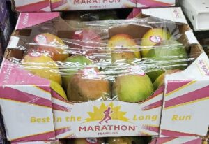 MARATHON HADEN MANGO BOX