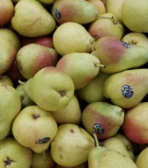 PEARS RED