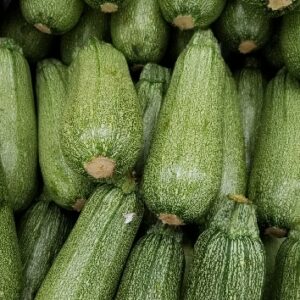 WHITE ZUCCHINI