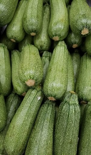 WHITE ZUCCHINI