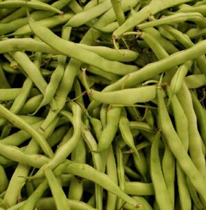 FLAT BEANS