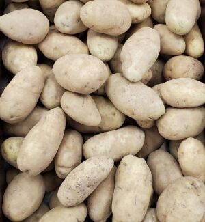 LOOSE IDAHO POTATO