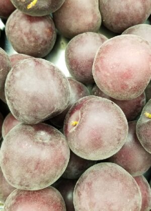 RED APRICOT