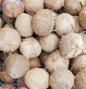 FANCY COCONUT