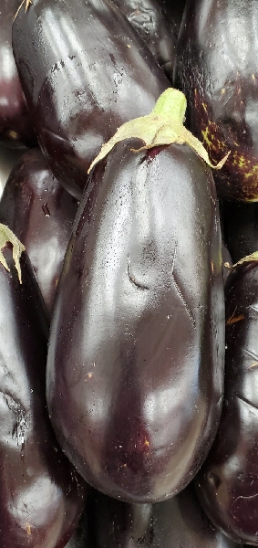 BIG EGGPLANT
