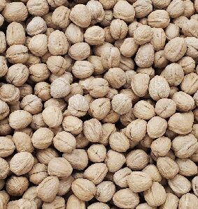 WALNUT LOOSE