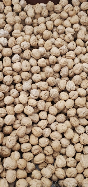 WALNUT LOOSE
