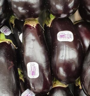 HOLLAND EGGPLANT