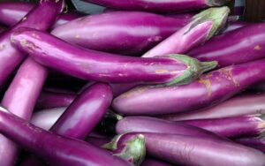 CHINESE EGGPLANT