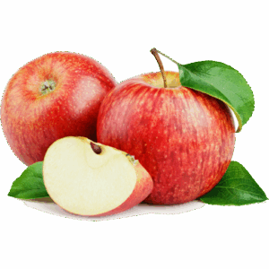 APPLE GALA